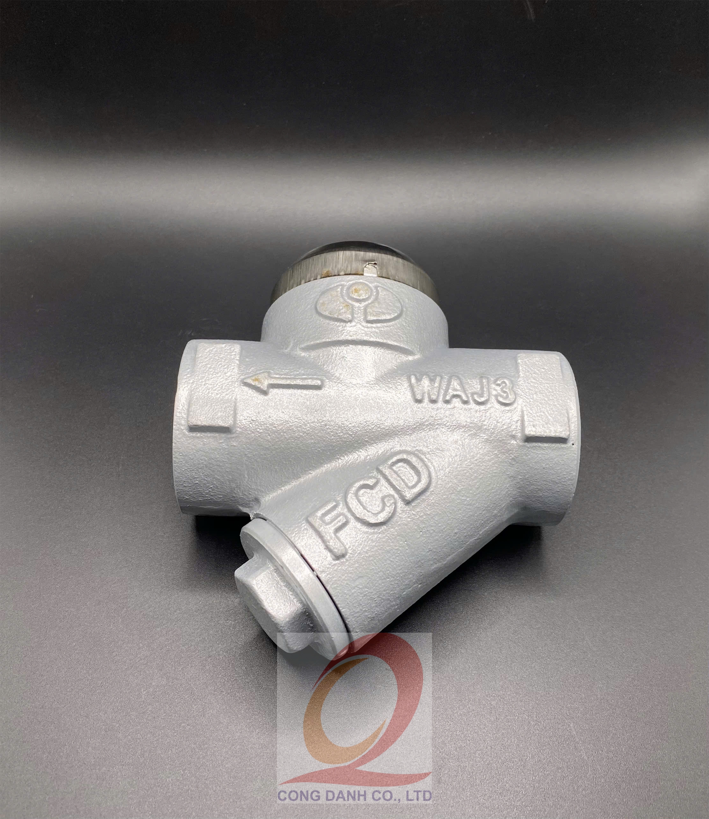 Steam trap